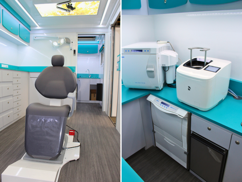 dentibus