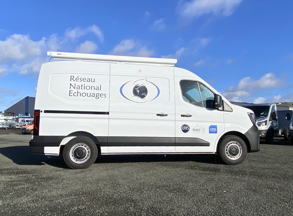Fourgon Dauphin (1)