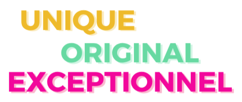 projet unique